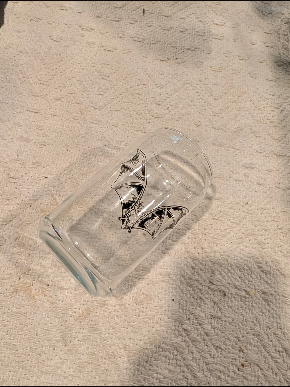 West Elm//Counter Couture Bat Glass